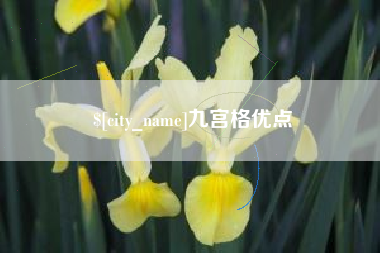 鄂尔多斯九宫格优点