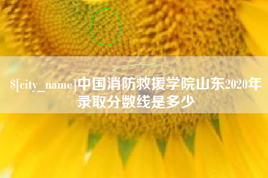 鄂尔多斯中国消防救援学院山东2020年录取分数线是多少