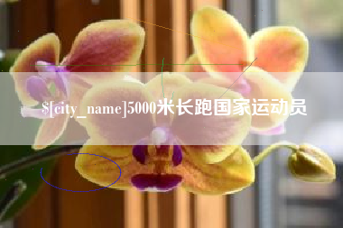 鄂尔多斯5000米长跑国家运动员