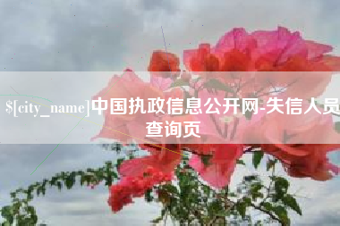 鄂尔多斯中国执政信息公开网-失信人员查询页