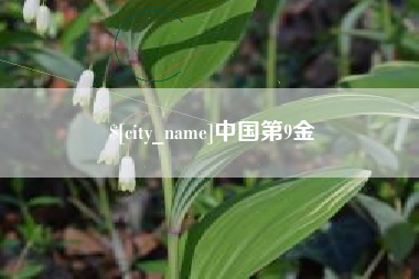 鄂尔多斯中国第9金