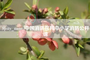 鄂尔多斯中国消防官网中小学消防公开课
