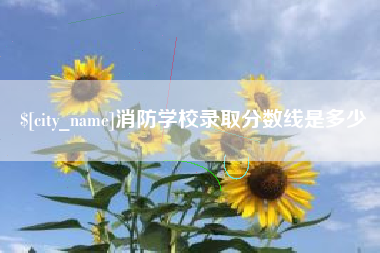 鄂尔多斯消防学校录取分数线是多少