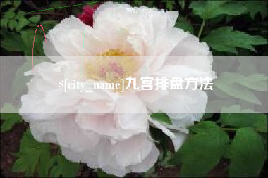 鄂尔多斯九宫排盘方法
