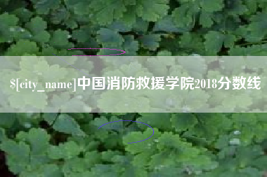 鄂尔多斯中国消防救援学院2018分数线