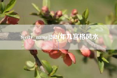 鄂尔多斯2021年九宫格风水