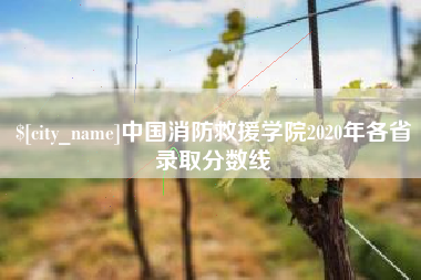 鄂尔多斯中国消防救援学院2020年各省录取分数线