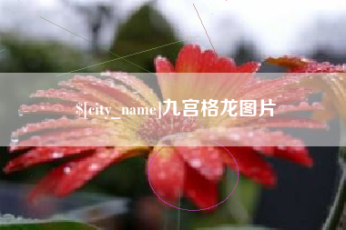 鄂尔多斯九宫格龙图片