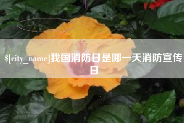 鄂尔多斯我国消防日是哪一天消防宣传日