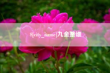 鄂尔多斯九金是谁