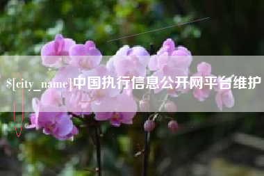 鄂尔多斯中国执行信息公开网平台维护