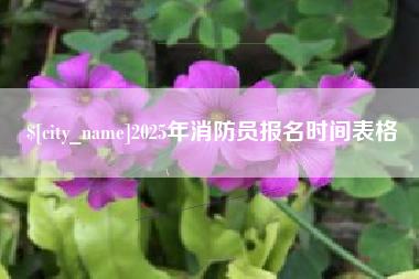 鄂尔多斯2025年消防员报名时间表格