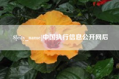 鄂尔多斯中国执行信息公开网后