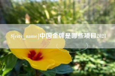 鄂尔多斯中国金牌是哪些项目2021