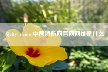 鄂尔多斯中国消防网官网网址是什么