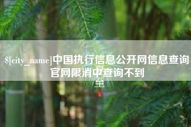 鄂尔多斯中国执行信息公开网信息查询官网限消中查询不到