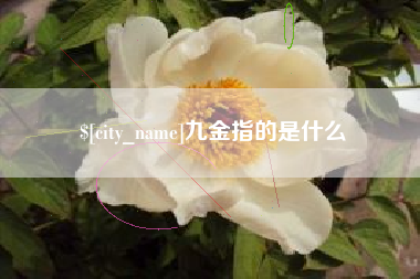 鄂尔多斯九金指的是什么