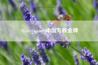 鄂尔多斯中国九枚金牌