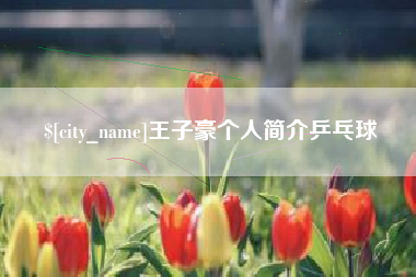 鄂尔多斯王子豪个人简介乒乓球