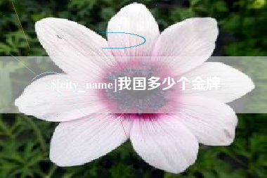 鄂尔多斯我国多少个金牌