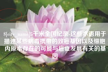 鄂尔多斯5千米全国纪录-这些术语用于描述某些病毒携带的致癌基因以及细胞内原本存在的可能与癌症发展有关的基因