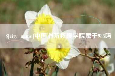 鄂尔多斯中国消防救援学院属于985吗