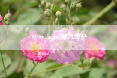 鄂尔多斯第九金是