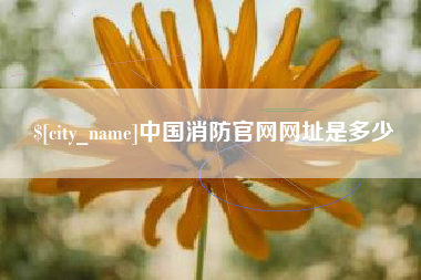 鄂尔多斯中国消防官网网址是多少