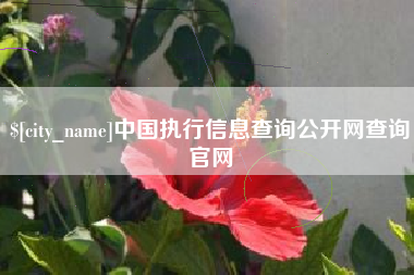 鄂尔多斯中国执行信息查询公开网查询官网