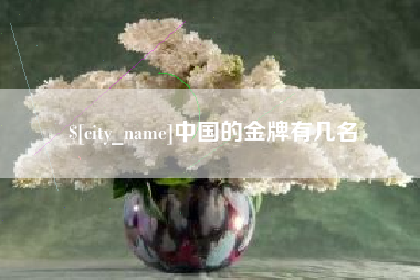鄂尔多斯中国的金牌有几名