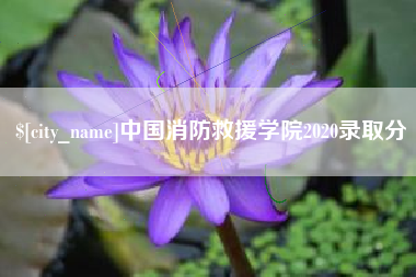 鄂尔多斯中国消防救援学院2020录取分