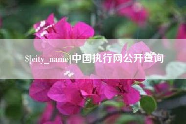 鄂尔多斯中国执行网公开查询