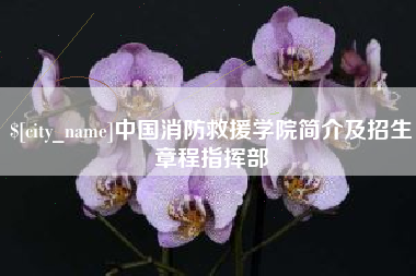 鄂尔多斯中国消防救援学院简介及招生章程指挥部