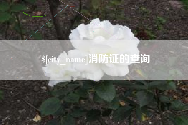 鄂尔多斯消防证的查询