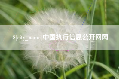 鄂尔多斯中国执行信息公开网网