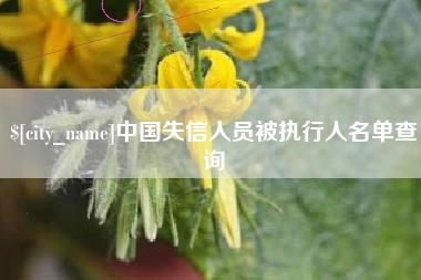 鄂尔多斯中国失信人员被执行人名单查询