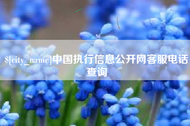 鄂尔多斯中国执行信息公开网客服电话查询