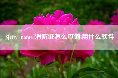 鄂尔多斯消防证怎么查询,用什么软件