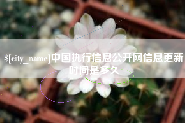 鄂尔多斯中国执行信息公开网信息更新时间是多久