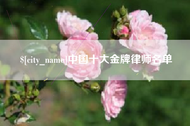 鄂尔多斯中国十大金牌律师名单