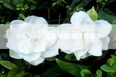 鄂尔多斯现在中国金牌是多少