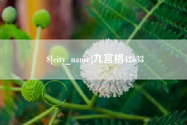鄂尔多斯九宫格42633