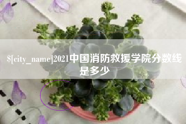 鄂尔多斯2021中国消防救援学院分数线是多少