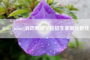 鄂尔多斯消防救援学院招生录取分数线