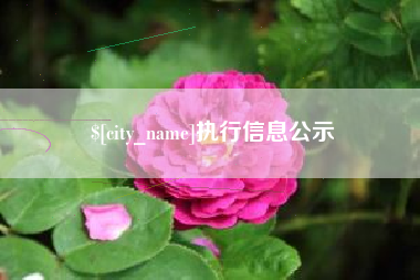 鄂尔多斯执行信息公示