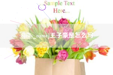 鄂尔多斯王子豪是怎么写