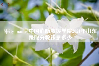 鄂尔多斯中国消防救援学院2021年山东录取分数线是多少