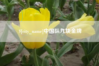 鄂尔多斯中国队九块金牌