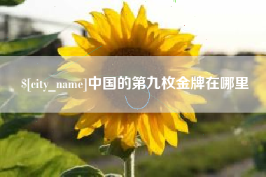 鄂尔多斯中国的第九枚金牌在哪里