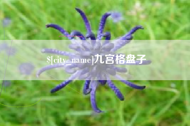 鄂尔多斯九宫格盘子